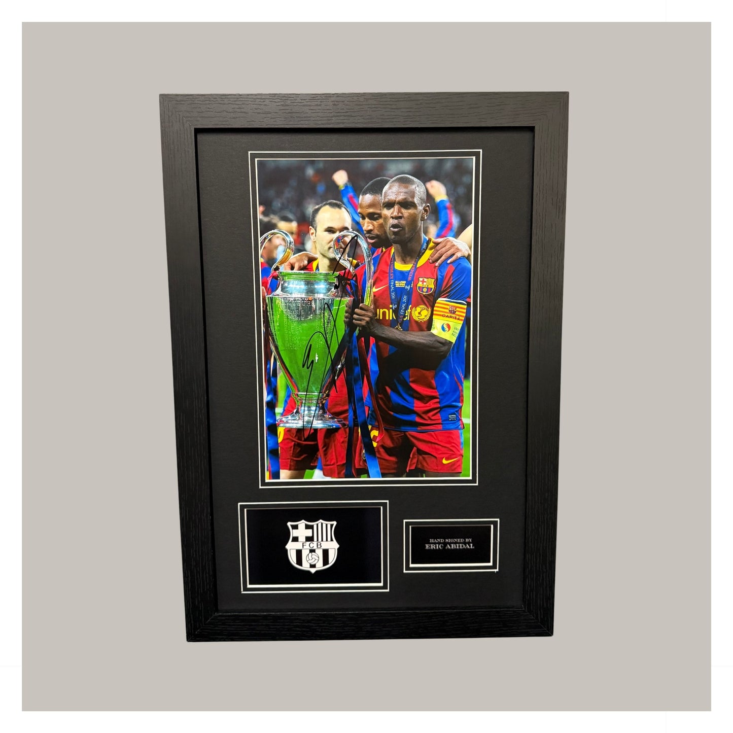 ERIC ABIDAL MOUNTED DISPLAY