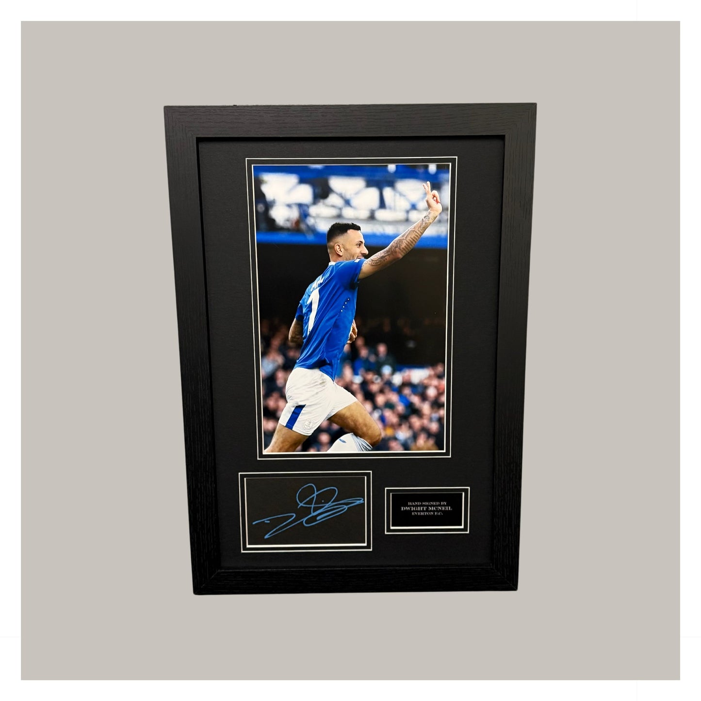 DWIGHT MCNEIL MOUNTED DISPLAY