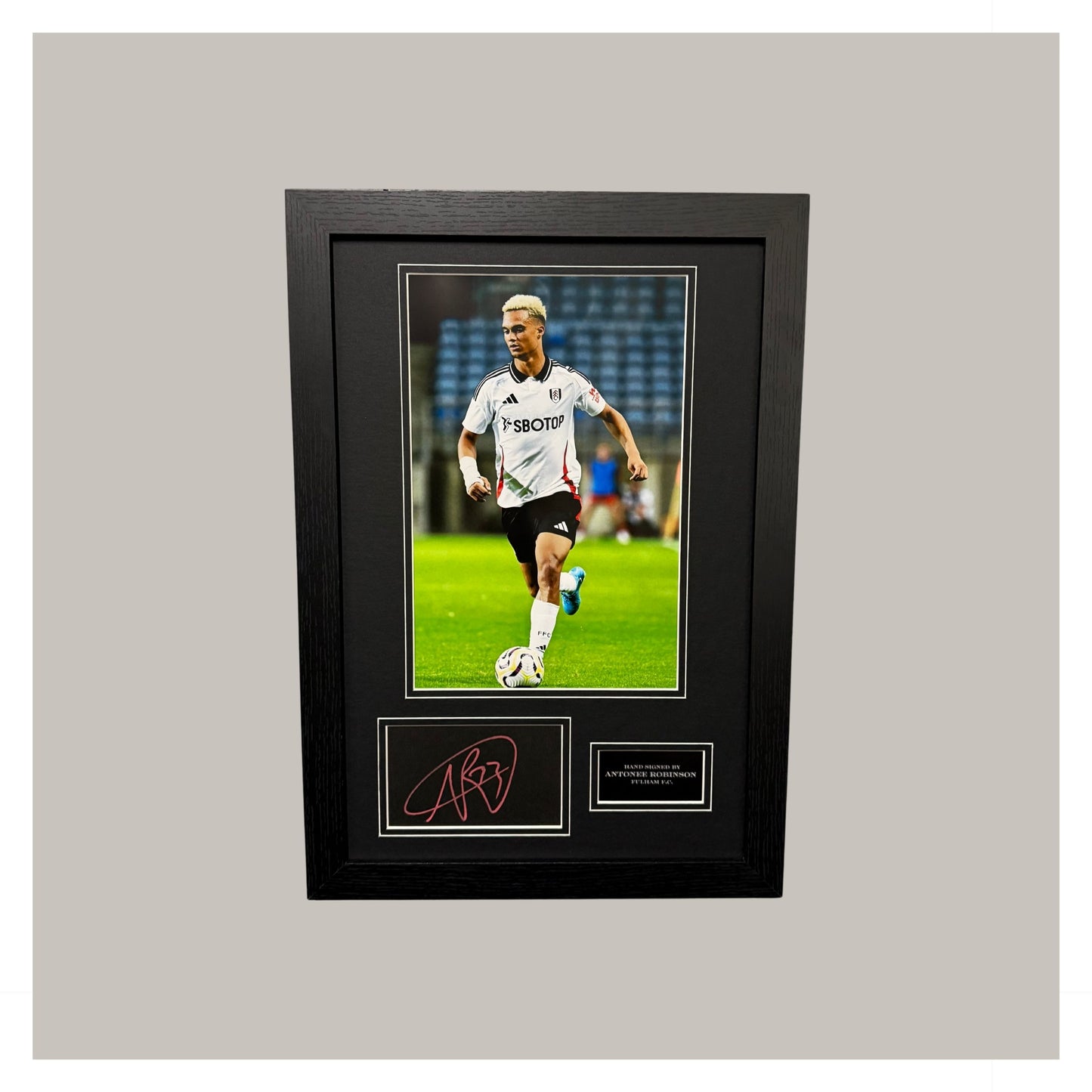 ANTONEE ROBINSON MOUNTED DISPLAY