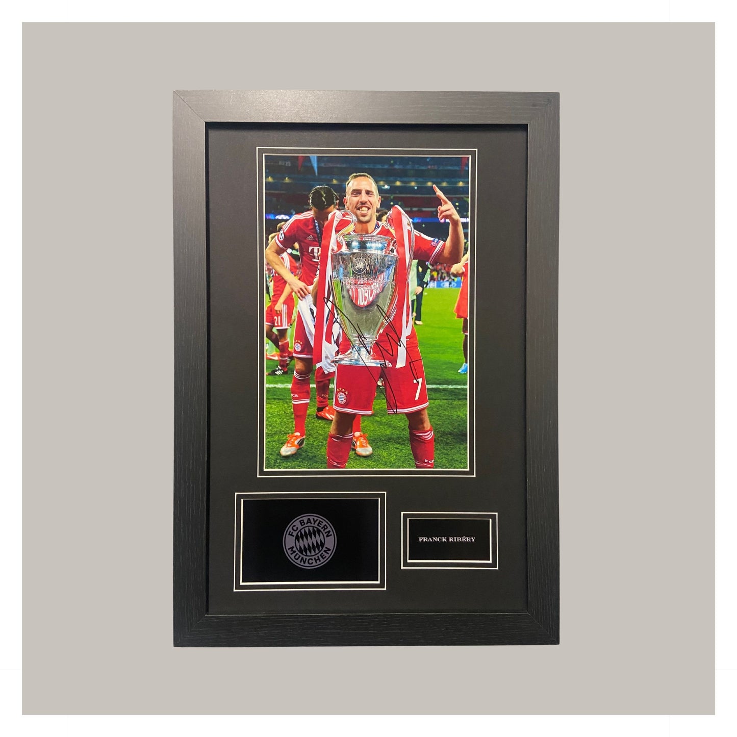 FRANCK RIBERY MOUNTED DISPLAY