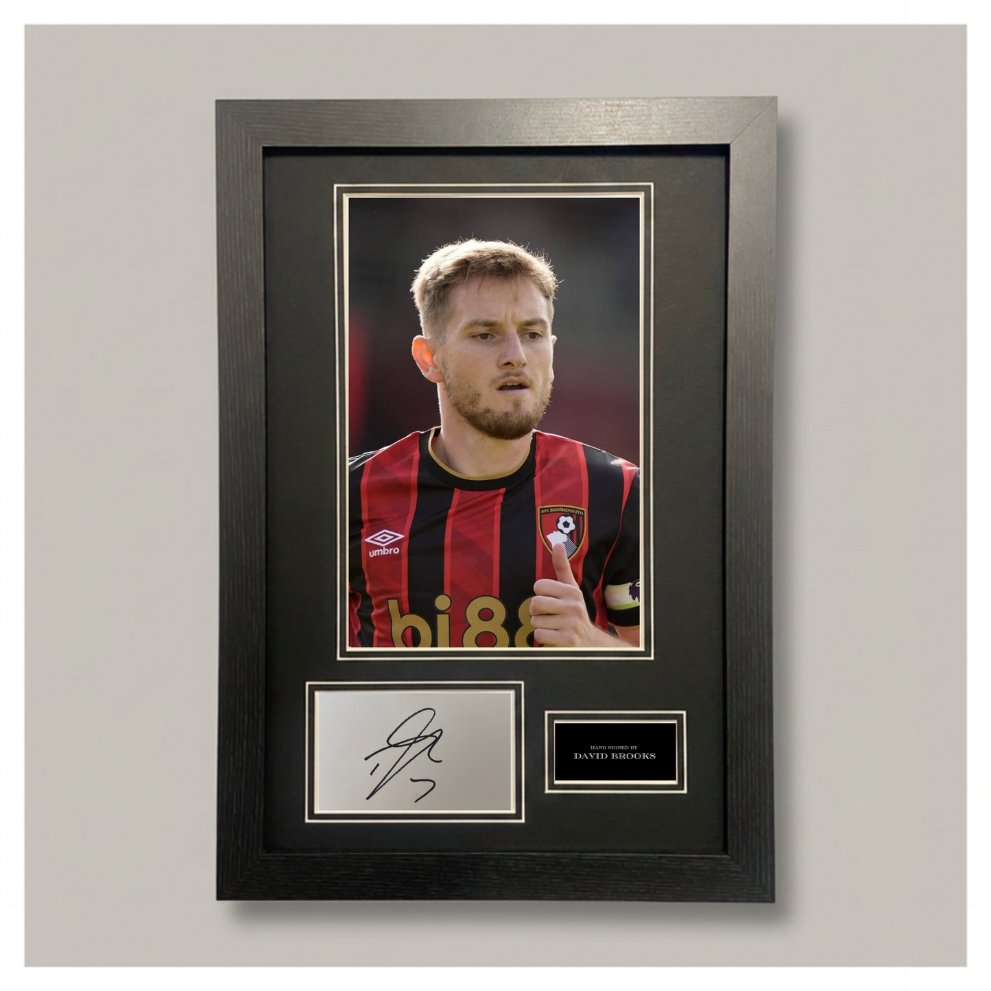 DAVID BROOKS MOUNTED DISPLAY