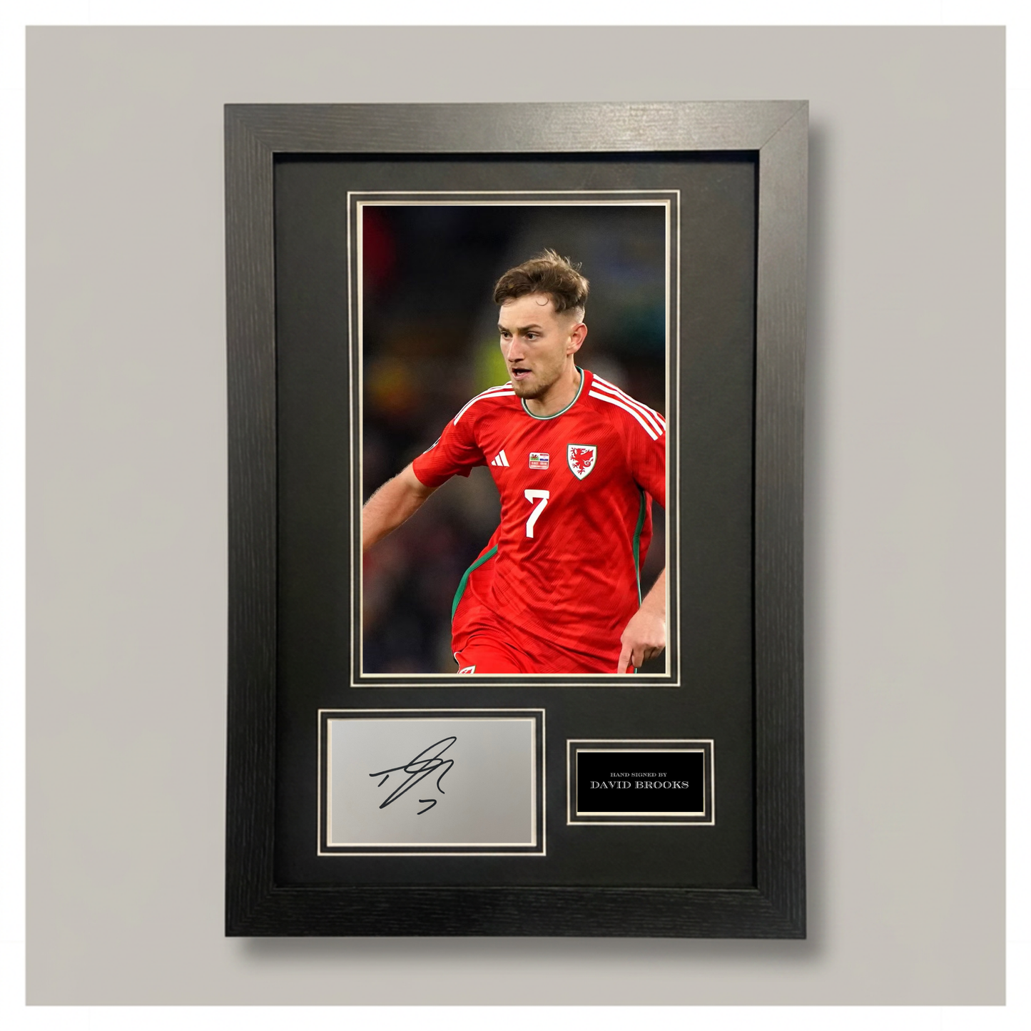 DAVID BROOKS MOUNTED DISPLAY