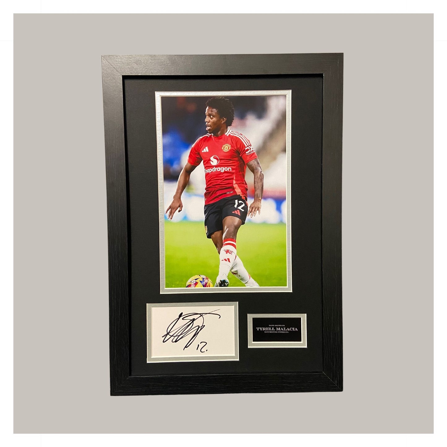 TYRELL MALACIA MOUNTED DISPLAY