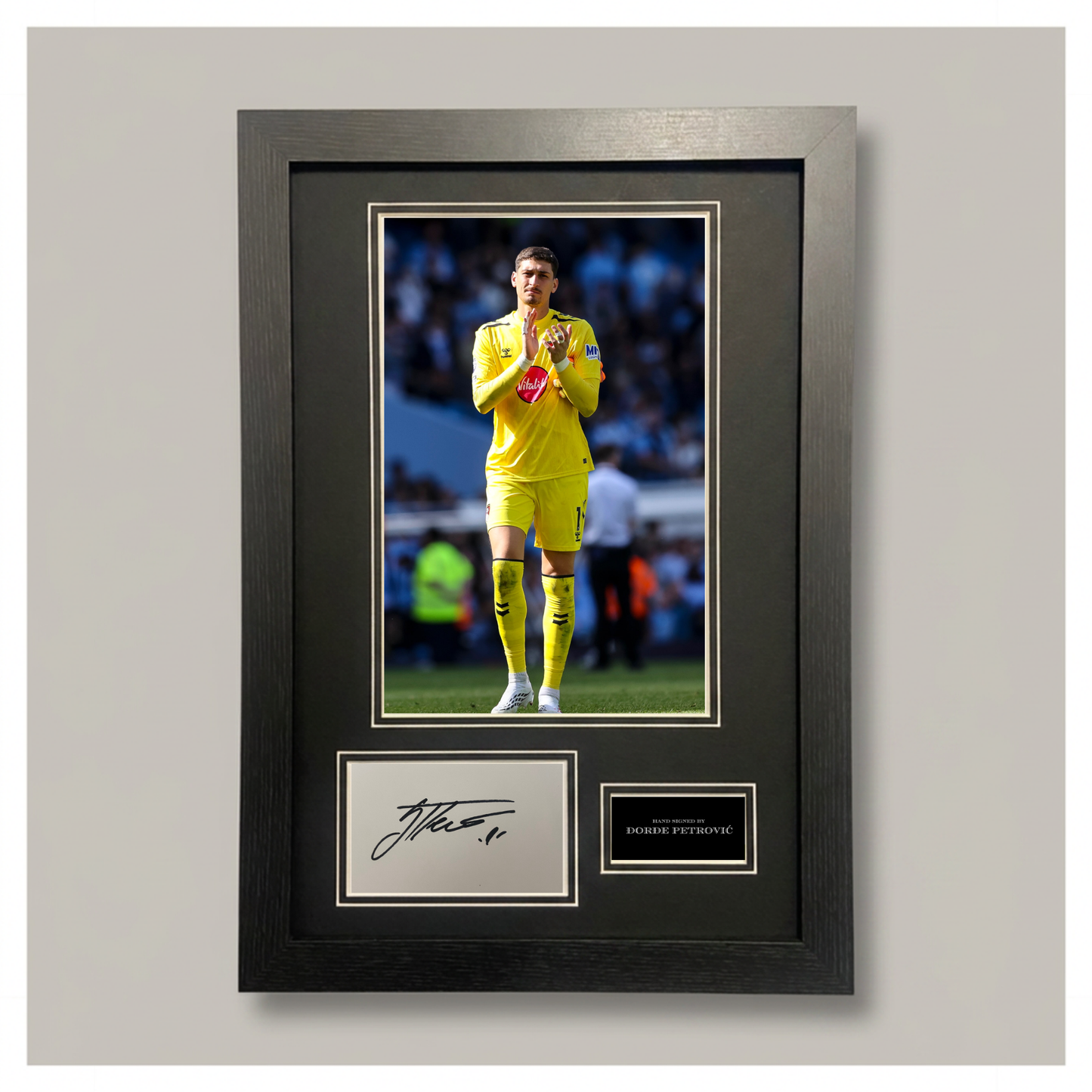 DORDE PETROVIC MOUNTED DISPLAY