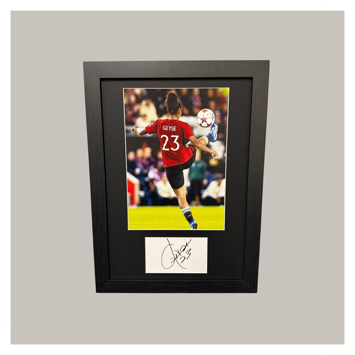 GEYSE MOUNTED DISPLAY