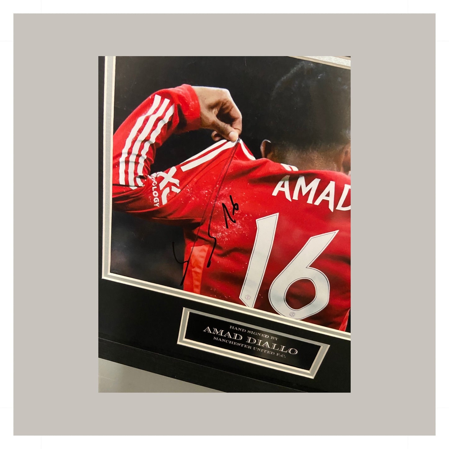 AMAD DIALO MOUNTED DISPLAY