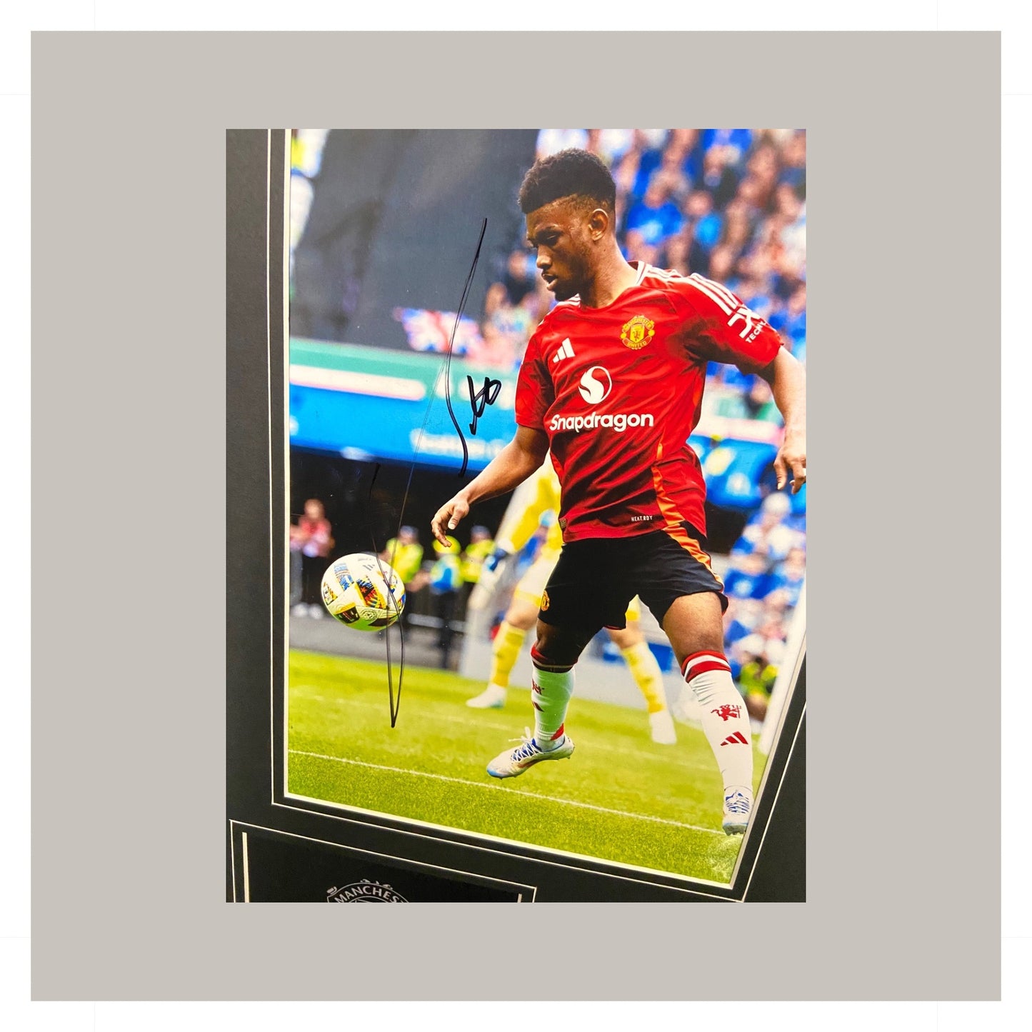 AMAD DIALO MOUNTED DISPLAY