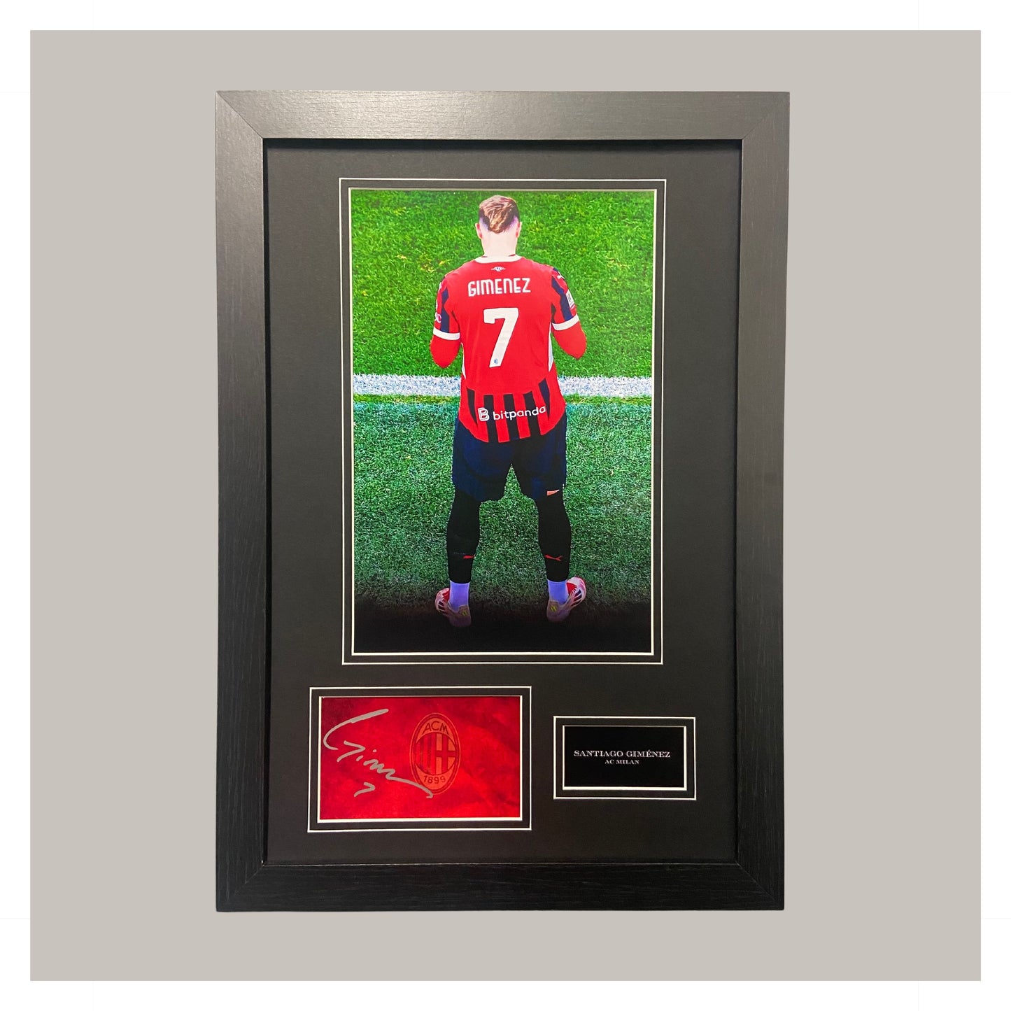 SANTIAGO GIMENEZ MOUNTED DISPLAY