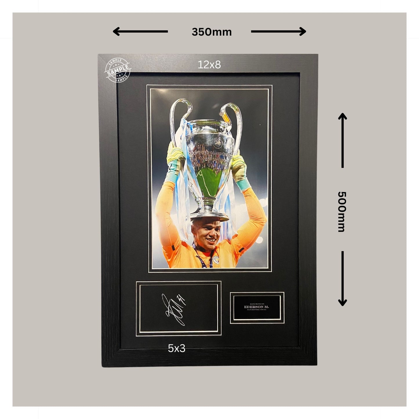 12X8 PHOTO X CARD DISPLAY