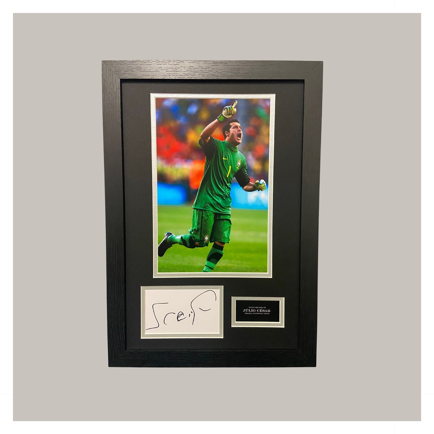 JULIO CESAR MOUNTED DISPLAY
