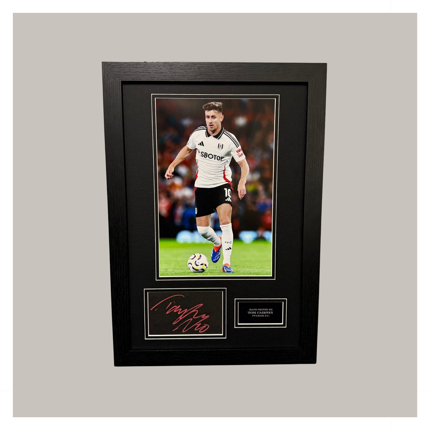 TOM CAIRNEY MOUNTED DISPLAY