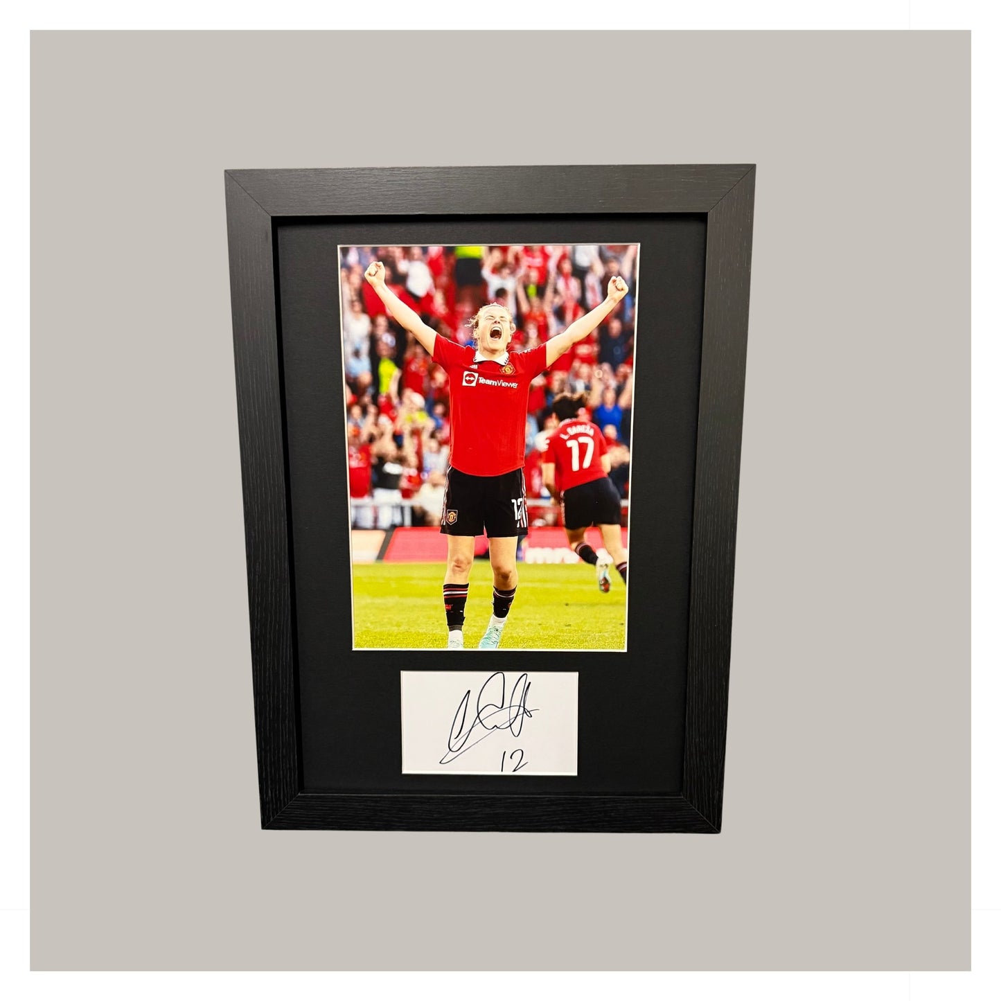 HAYLEY LADD MOUNTED DISPLAY