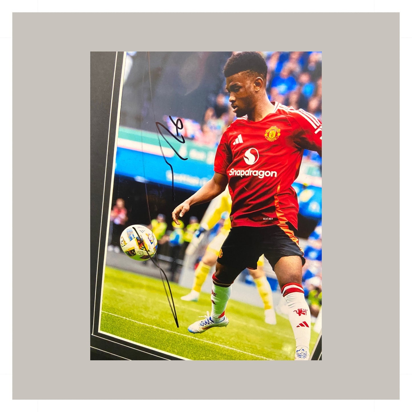 AMAD DIALO MOUNTED DISPLAY