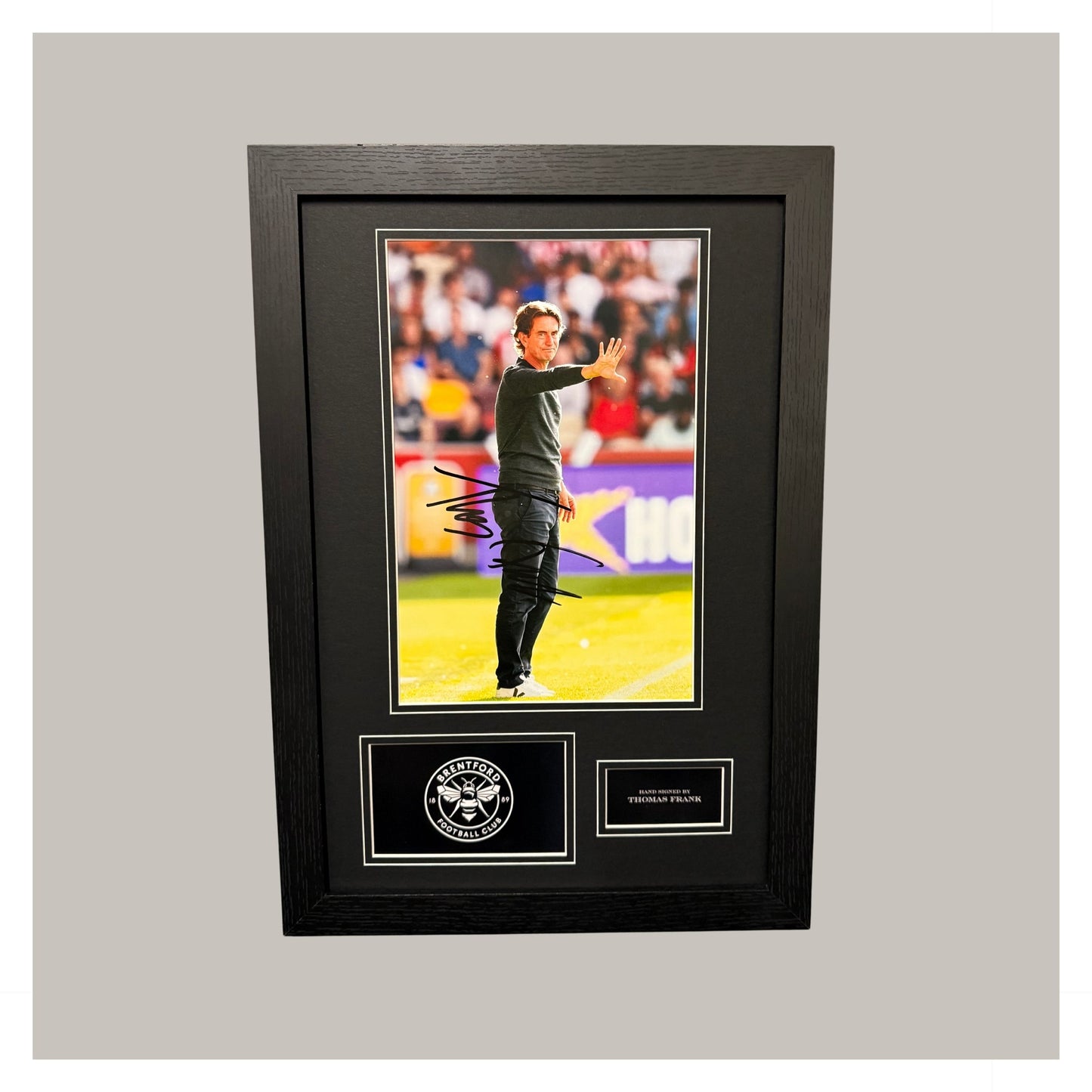 THOMAS FRANK MOUNTED DISPLAY