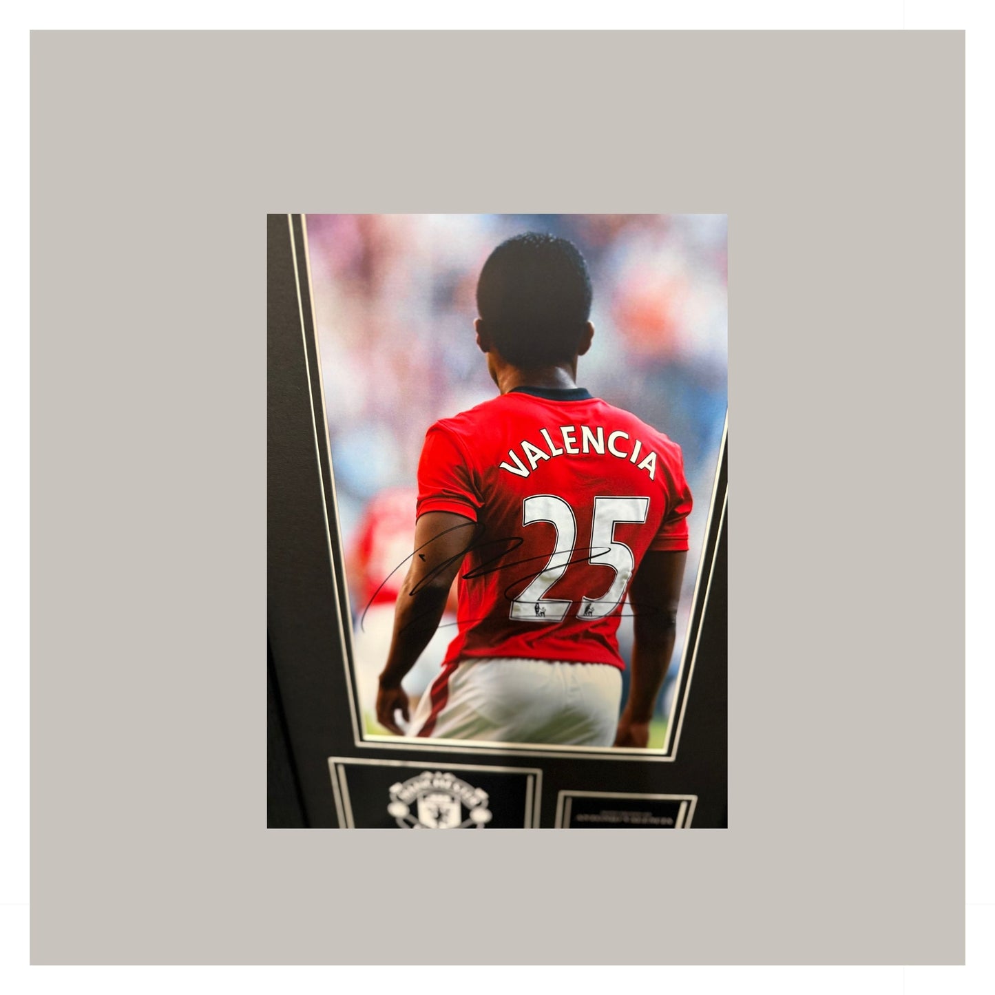 ANTONIO VALENCIA MOUNTED DISPLAY