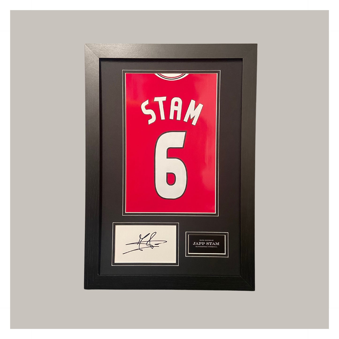 JAPP STAM MOUNTED DISPLAY