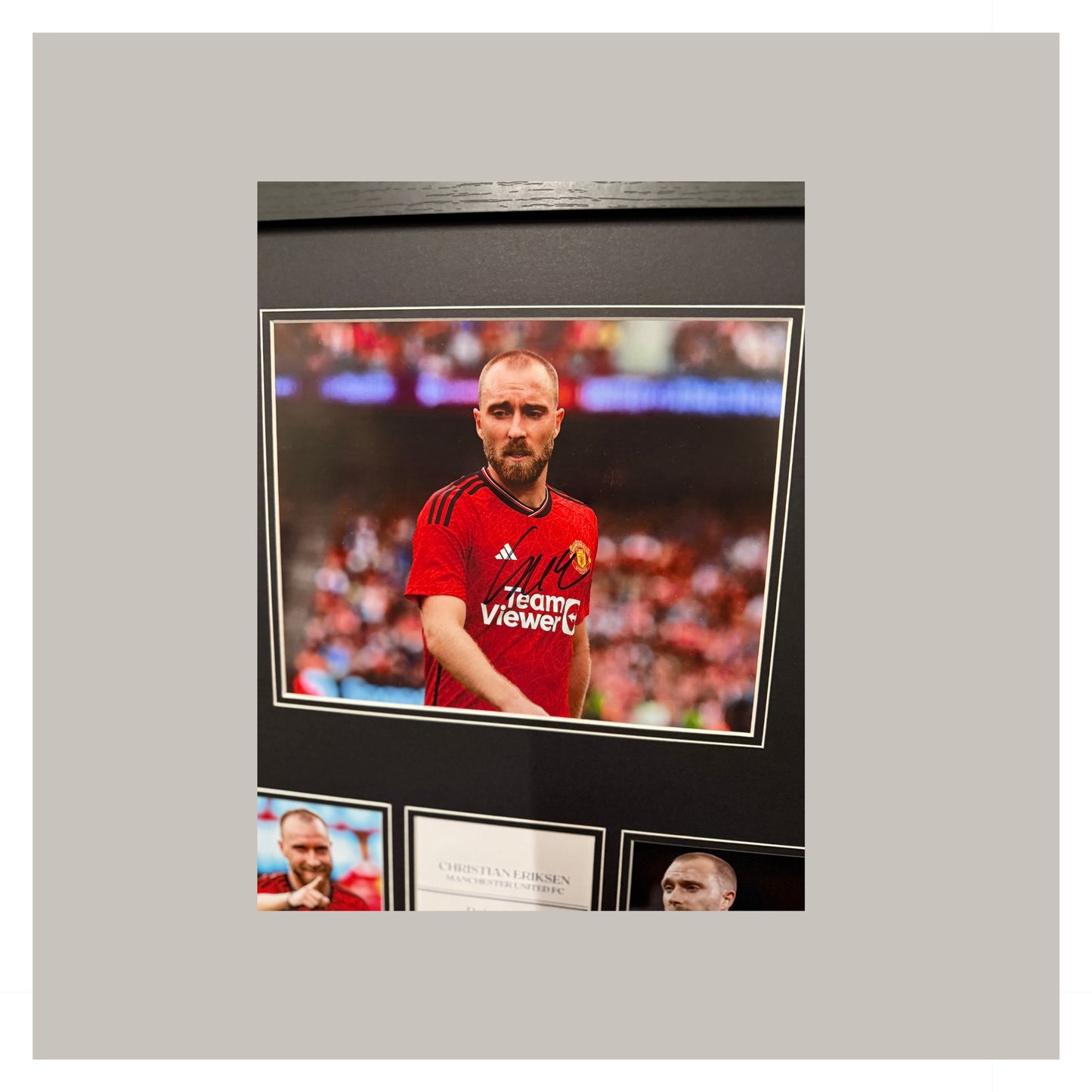 CHRISTIAN ERIKSEN MOUNTED DISPLAY