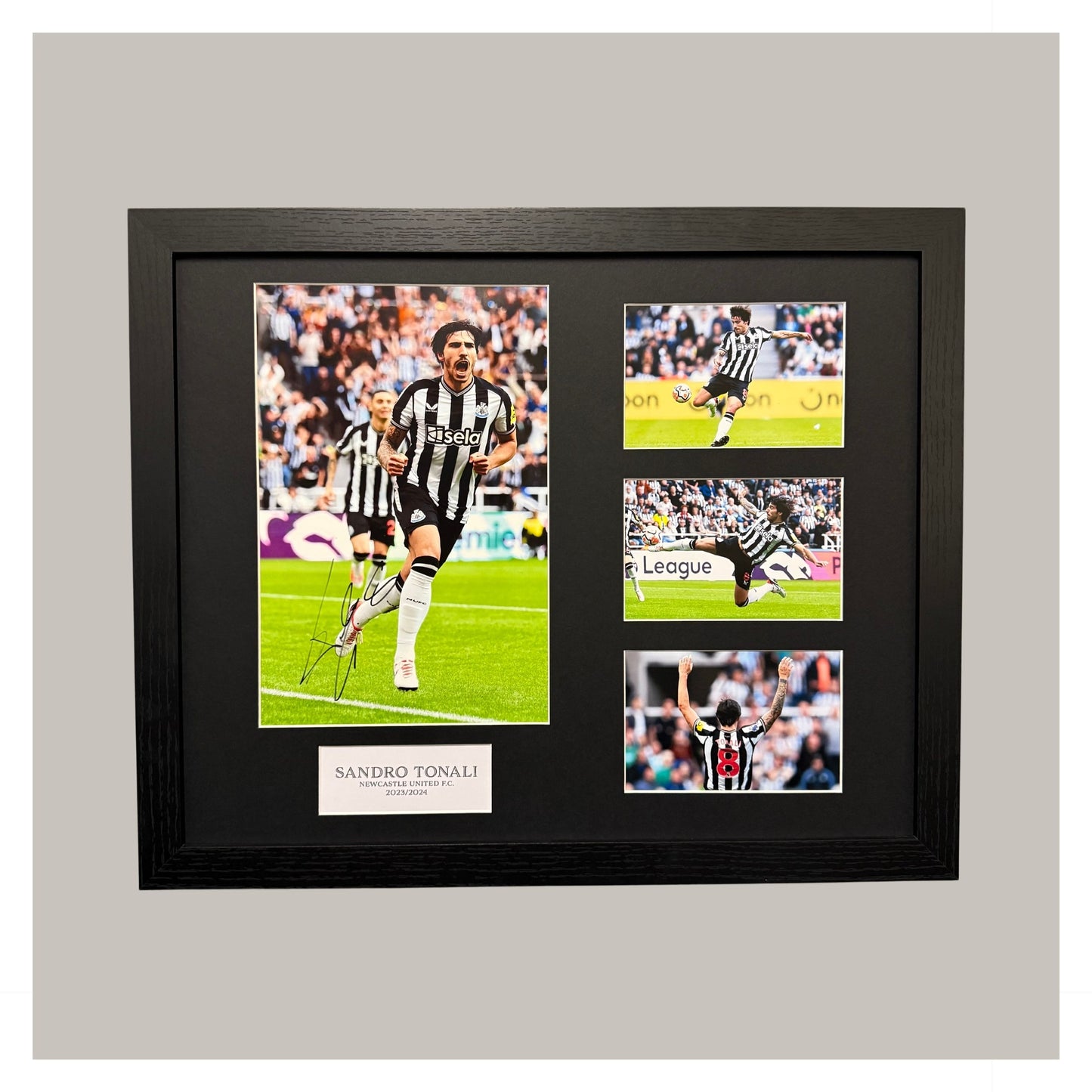 SANDRO TONALI MOUNTED DISPLAY