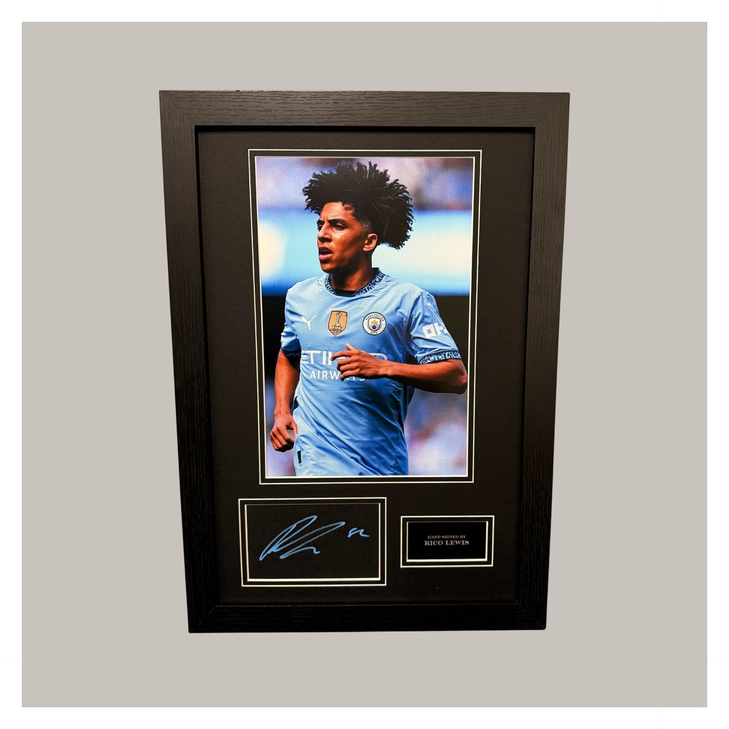 RICO LEWIS MOUNTED DISPLAY
