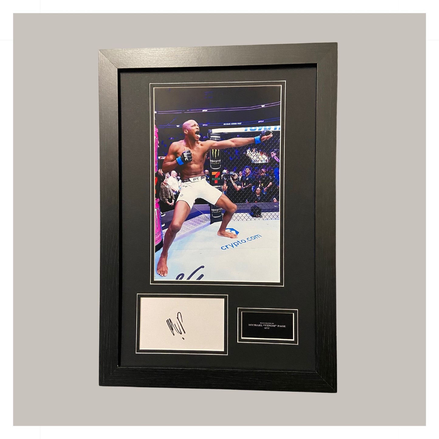 MICHAEL VENOM PAGE (MVP) MOUNTED DISPLAY