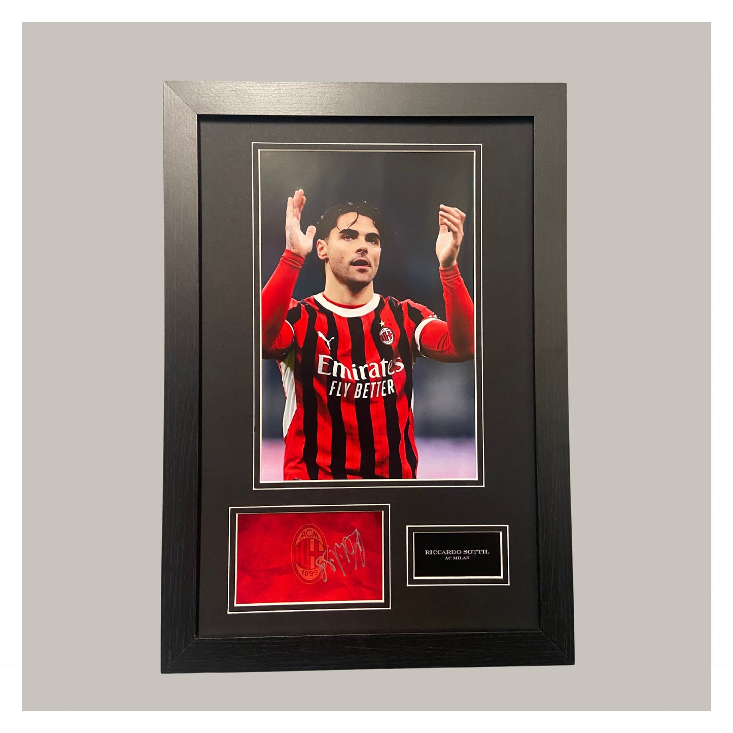 RICCARDO SOTTIL MOUNTED DISPLAY