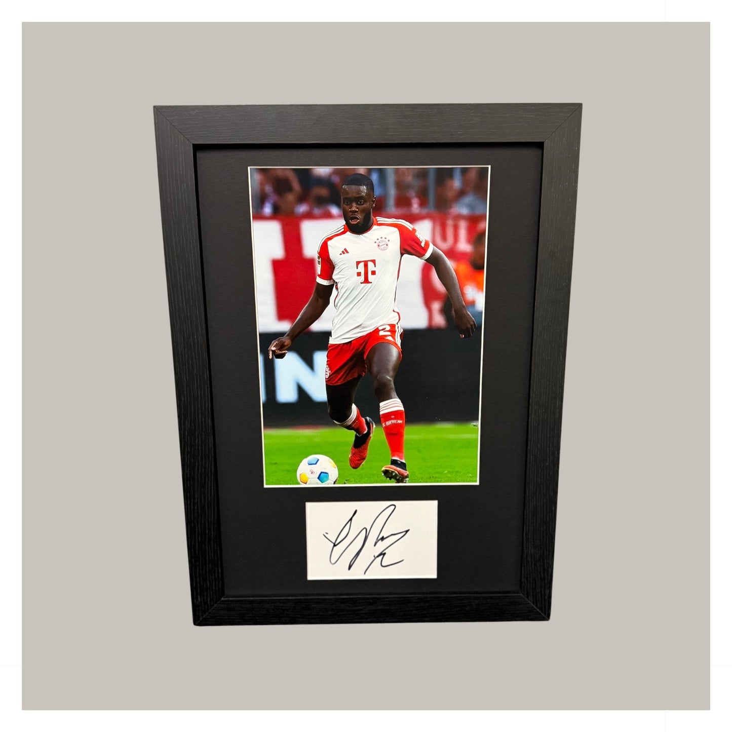 DAYOT UPAMECANO MOUNTED DISPLAY