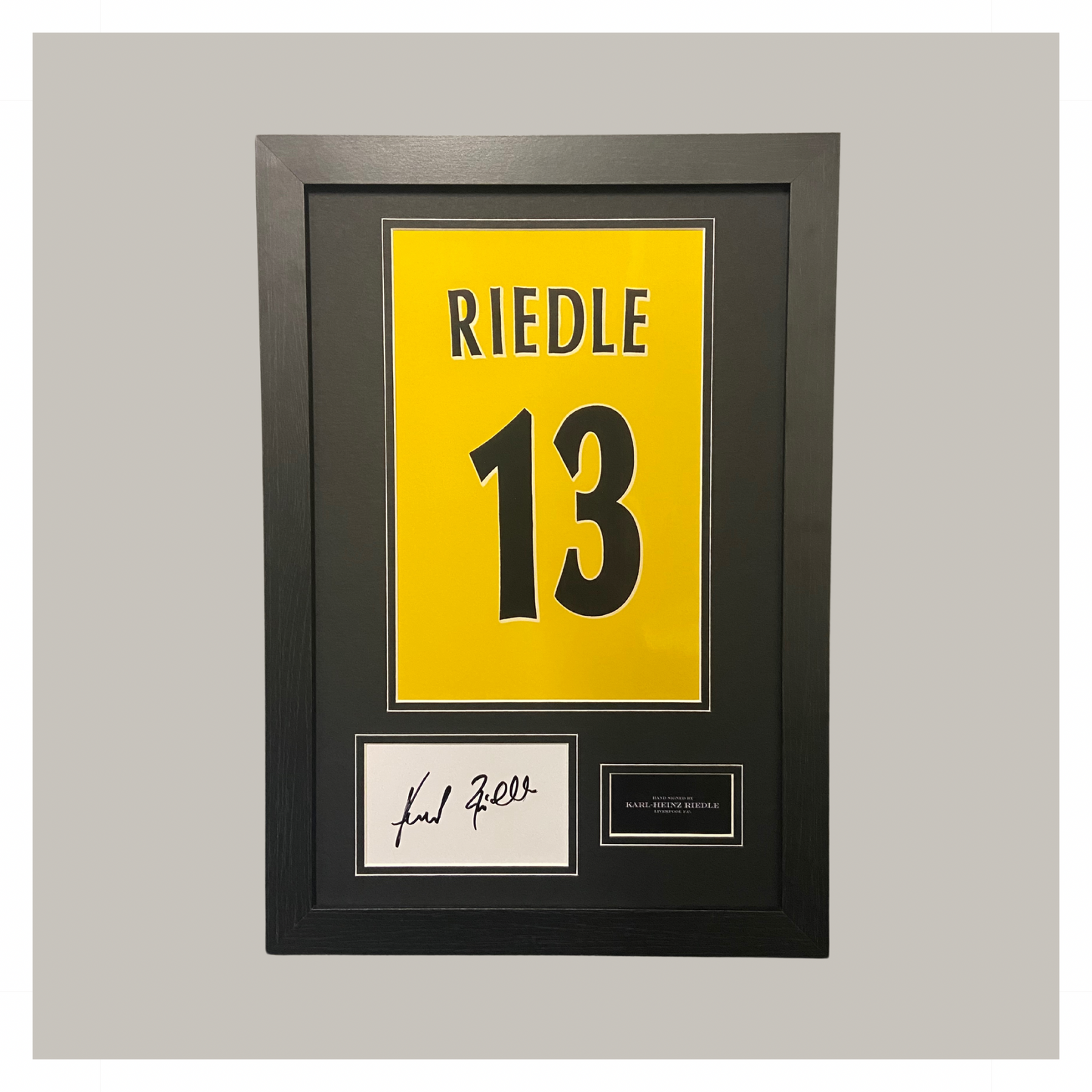 KARL-HEINZ RIEDLE MOUNTED DISPLAY