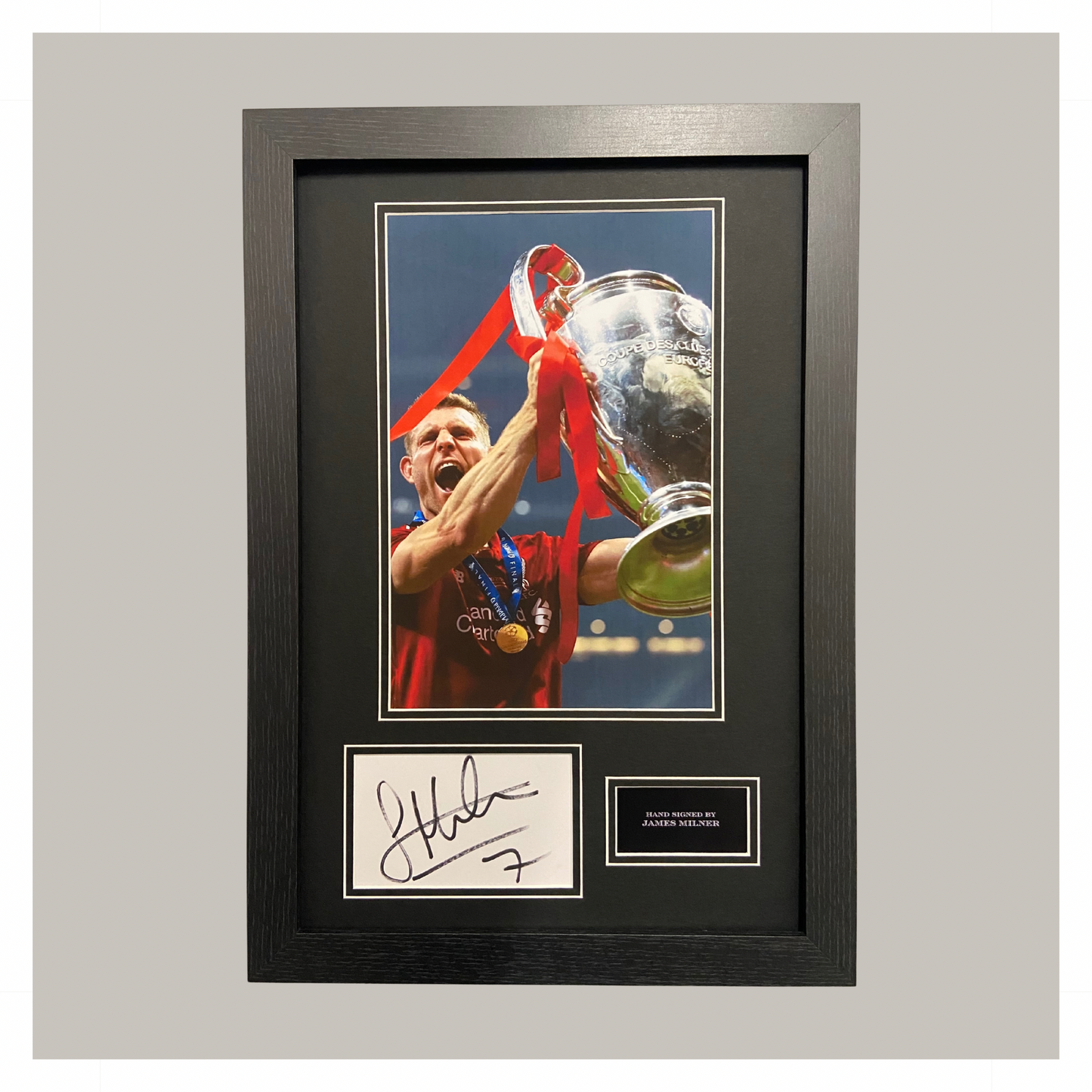 JAMES MILNER MOUNTED DISPLAY