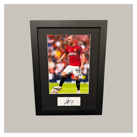 CHRISTIAN ERIKSEN MOUNTED DISPLAY