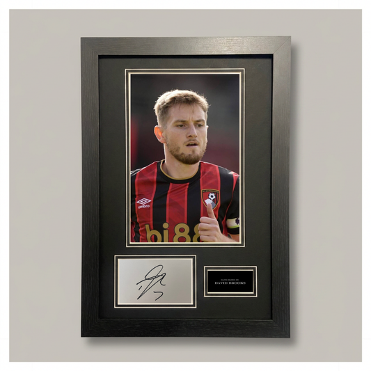 DAVID BROOKS MOUNTED DISPLAY