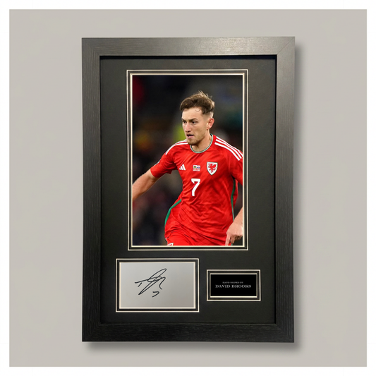 DAVID BROOKS MOUNTED DISPLAY