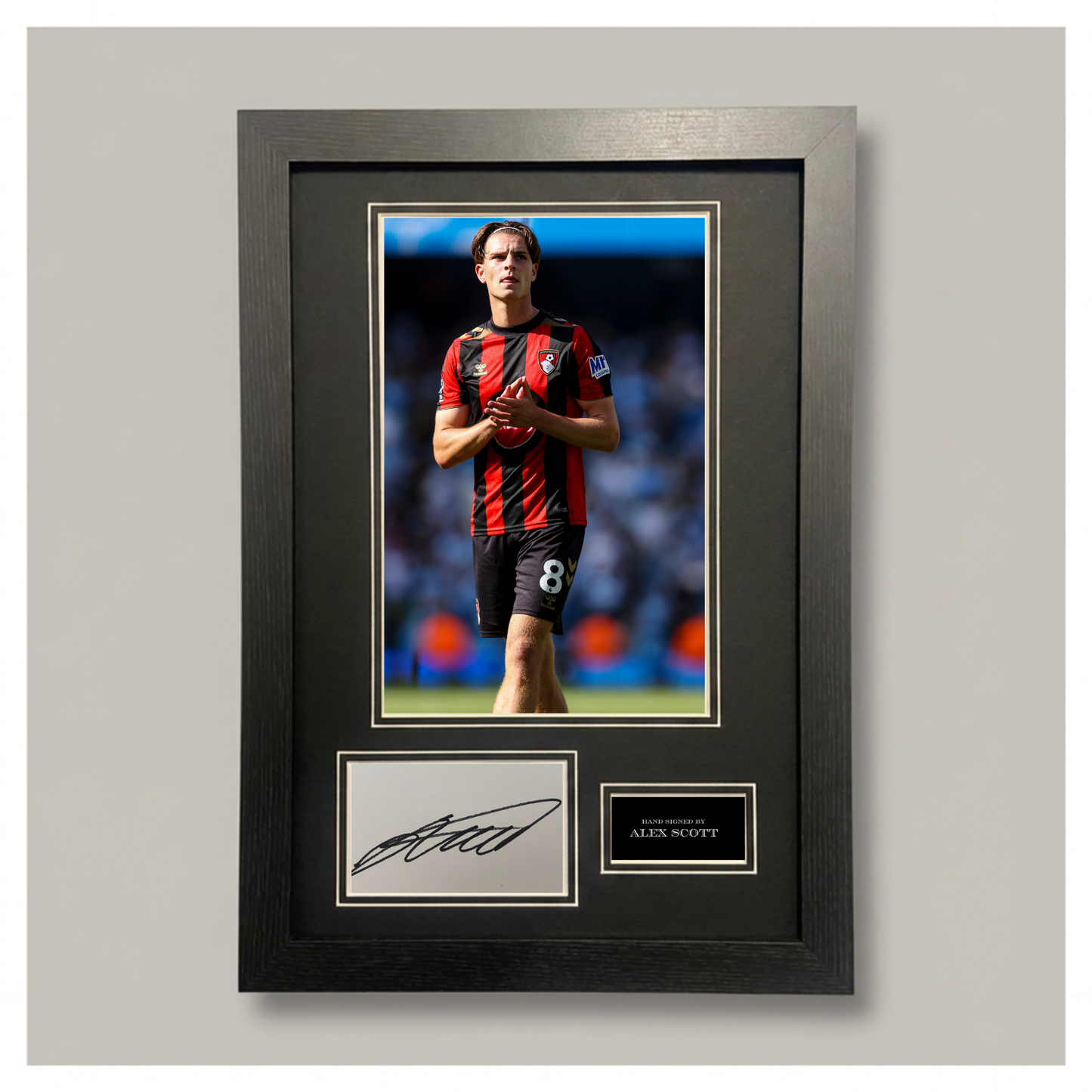 ALEX SCOTT MOUNTED DISPLAY