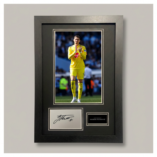 DORDE PETROVIC MOUNTED DISPLAY