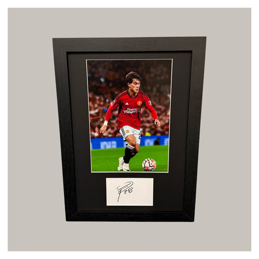 FACUNDO PELLISTRI MOUNTED DISPLAY