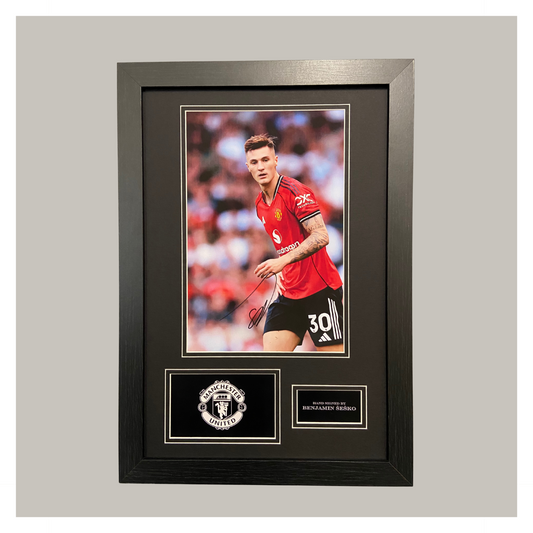 BENJAMIN SESKO MOUNTED DISPLAY