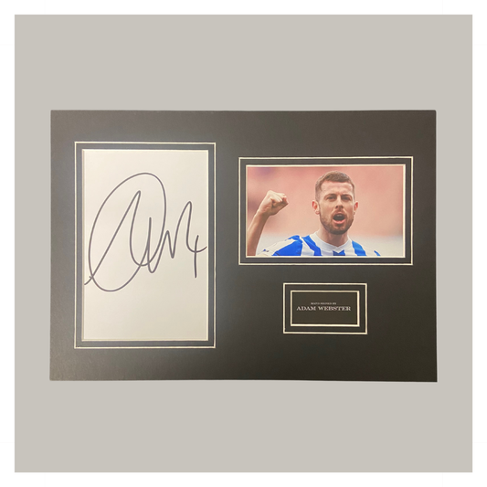 ADAM WEBSTER A4 MOUNTED DISPLAY