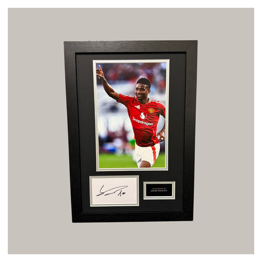 AMAD DIALO MOUNTED DISPLAY