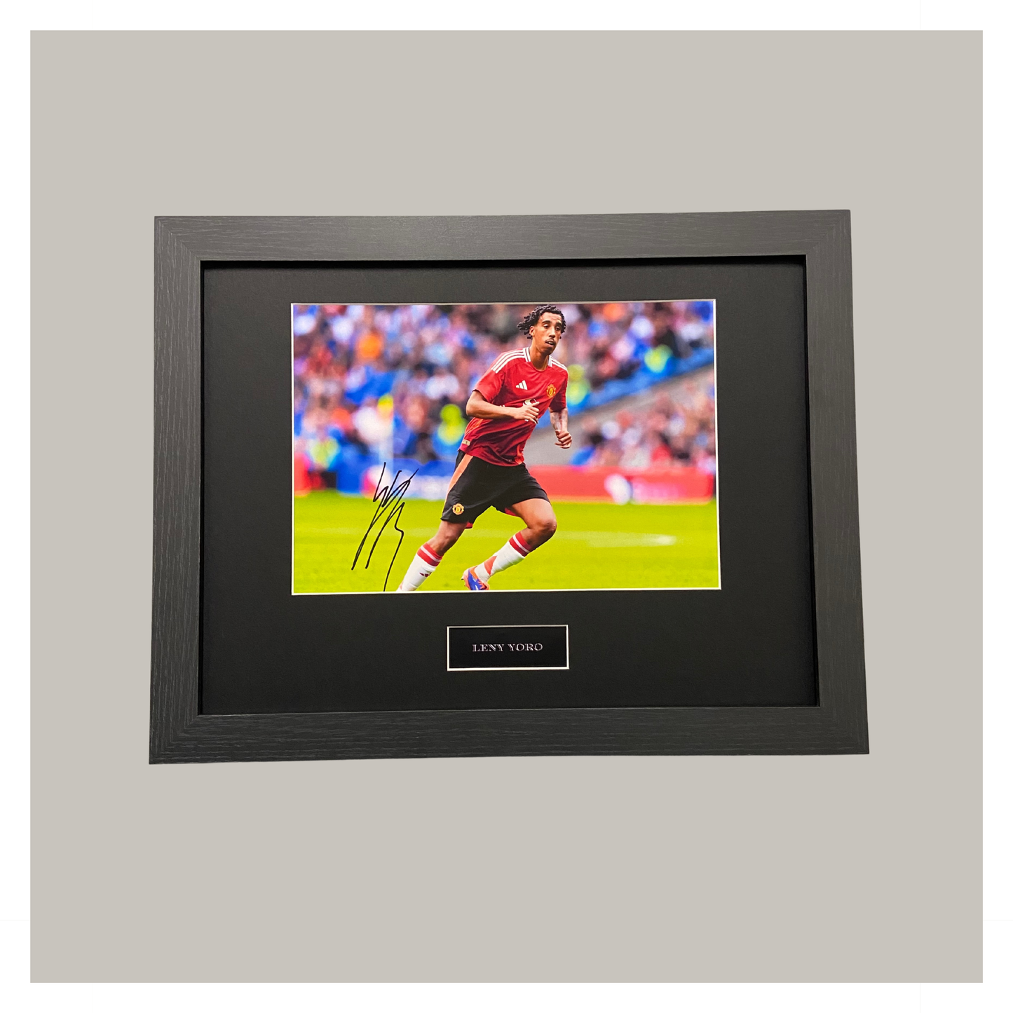LENNY YORO HAND SINGED DISPLAY