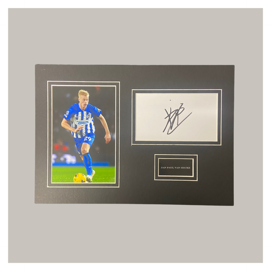 JAN PAUL VAN HECKE A4 MOUNTED DISPLAY