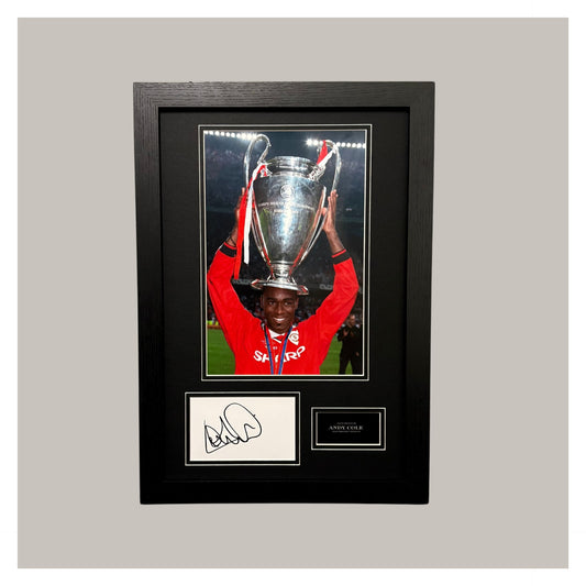 ANDY COLE MOUNTED DISPLAY