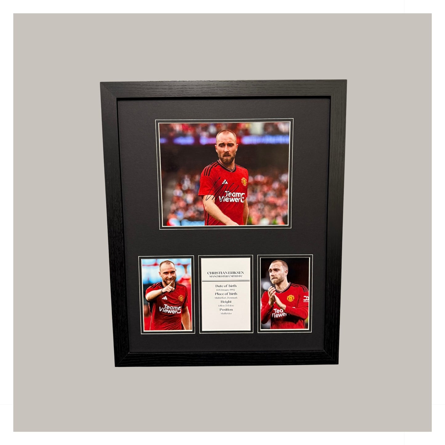 CHRISTIAN ERIKSEN MOUNTED DISPLAY