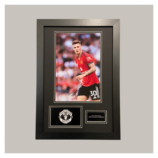 BENJAMIN SESKO MOUNTED DISPLAY